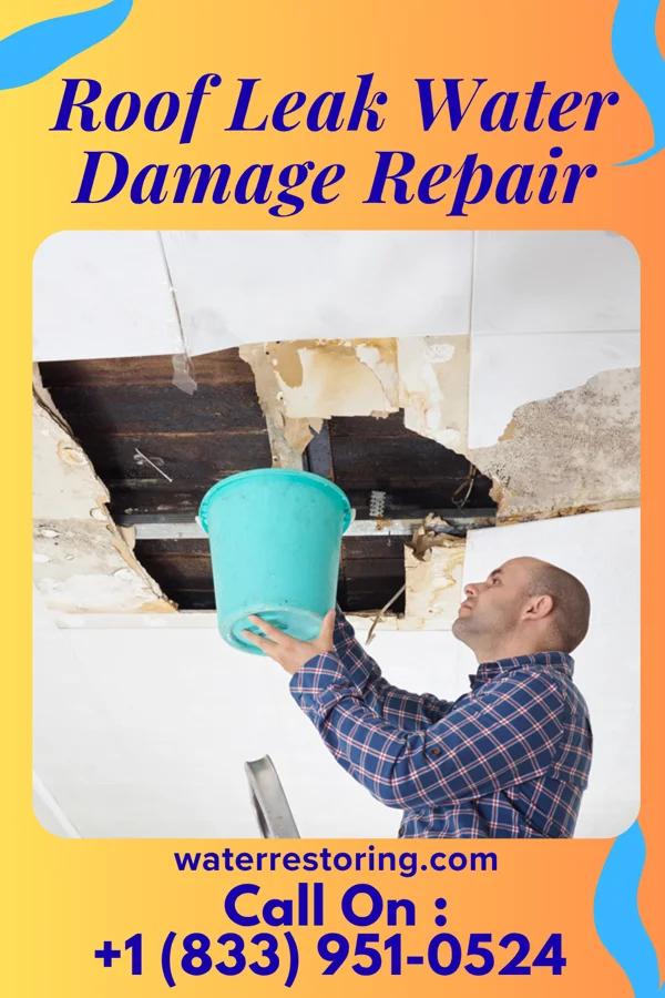 Roof Leak Water Damage Repair in Sunset, AR