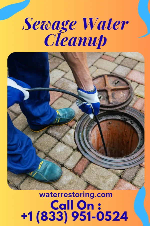 Sewage Water Cleanup in Sunset, AR